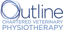 Outline Veterinary Physiotherapy